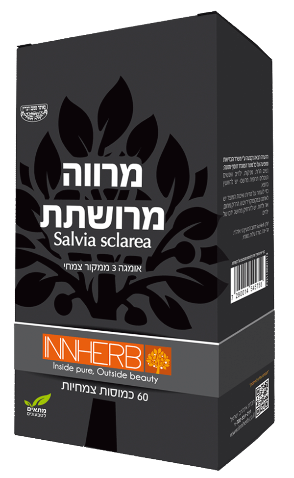 מרווה מרושתת Salvia Sclaria