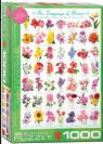 פאזל 1000 חלקים - שפת הפרחים - EUROGRAPHICS  6000-0579
