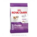 Royal Canin- רויאל קנין ענק פפי- עוף 15 ק"ג