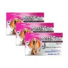 פסטיגון לארג לכלב במשקל 20-40 קג