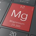 מגנזיום – Magnesium