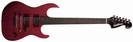 גיטרה חשמלית וושבורן WASHBURN X200PROTCR