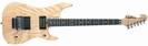 גיטרה חשמלית וושבורן WASHBURN N4ESA NM