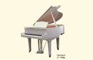 פסנתר כנף הרמן HERMANN H -155 white סין