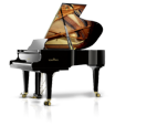 פסנתר כנף שימל SCHIMMEL K195 Tradition גרמניה