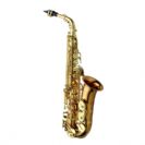 סקסופון אלט ברונזה YANAGISAWA A-WO20