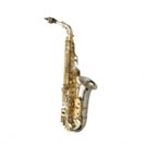 סקסופון אלט כסף YANAGISAWA A-WO37