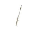 פיקולו (GOLDEN CUP JHPC1202S piccolo(silver plated