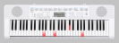 אורגנית קסיו CASIO LK-247