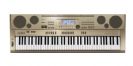 אורגן קסיו CASIO AT-5
