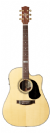 גיטרה אקוסטית מוגברת MATON TE-1