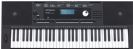 אורגן רולנד ROLAND E-X20