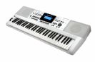 אורגנית 5 אוקטבות בצבע לבן KURZWEIL KP140WH