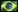 Brazilian Portuguese